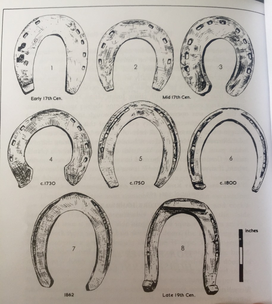 horseshoe identification - Coinshooters of San Diego